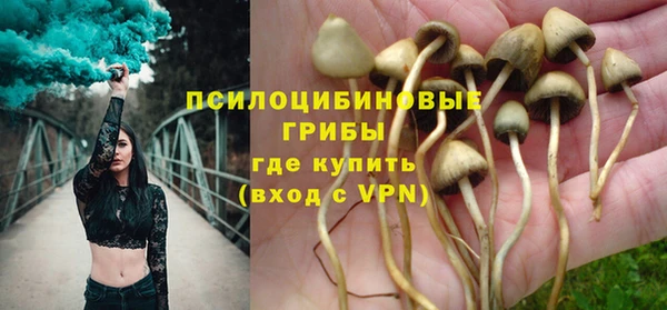 гидра Волоколамск